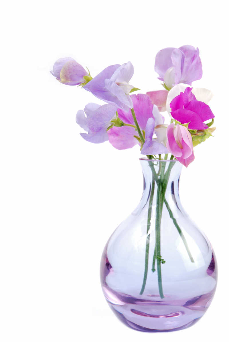 玻璃花瓶里的玫瑰花