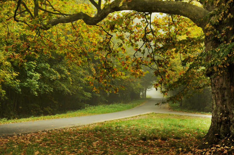 秋天的景色图片素材_秋季的美景照片_jpg格式-未来素材