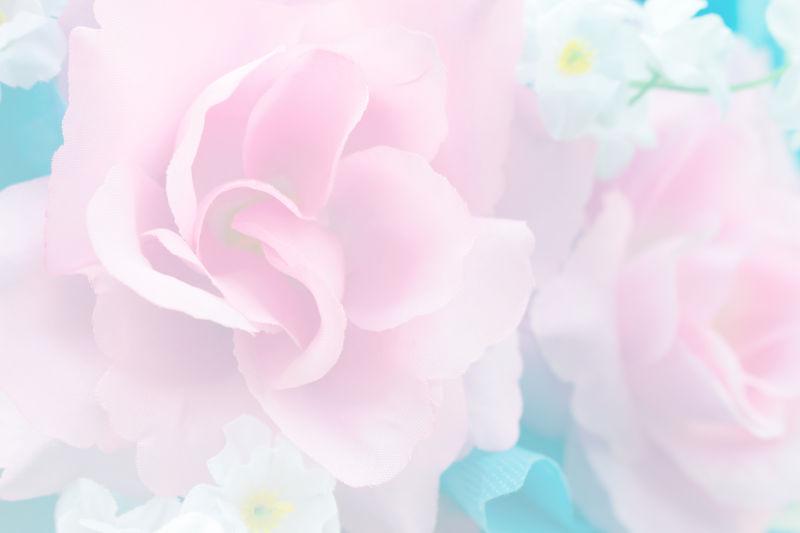 花朵图片-柔和的玫瑰色柔和的背景花素材-高清图片