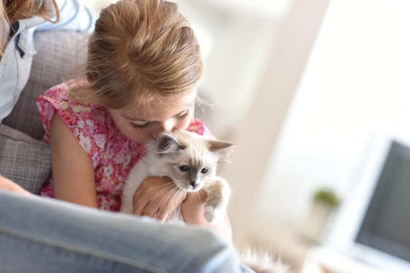 小女孩搂抱着可爱的小猫