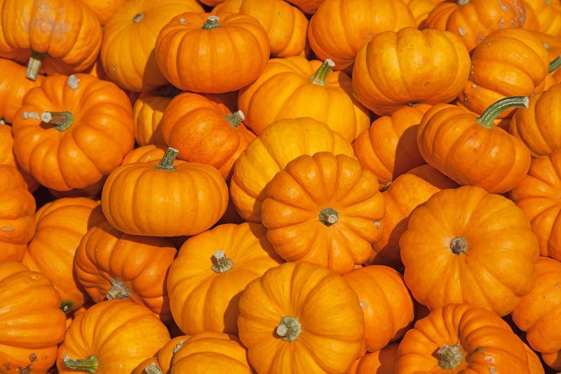 图片 > gourd 相似图片 秋天的南瓜 相似图片 木制桌子上的橙黄南瓜