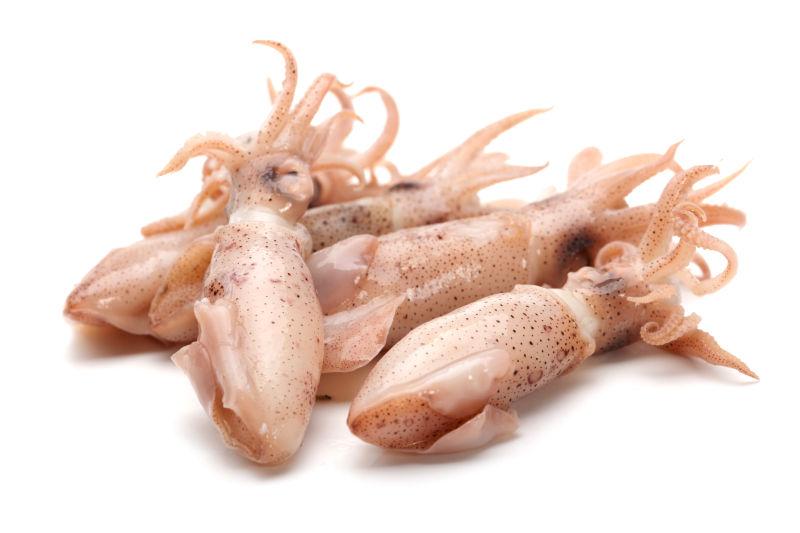 海底鱿鱼图片-新鲜的活鱿鱼素材-高清图片-摄影照片
