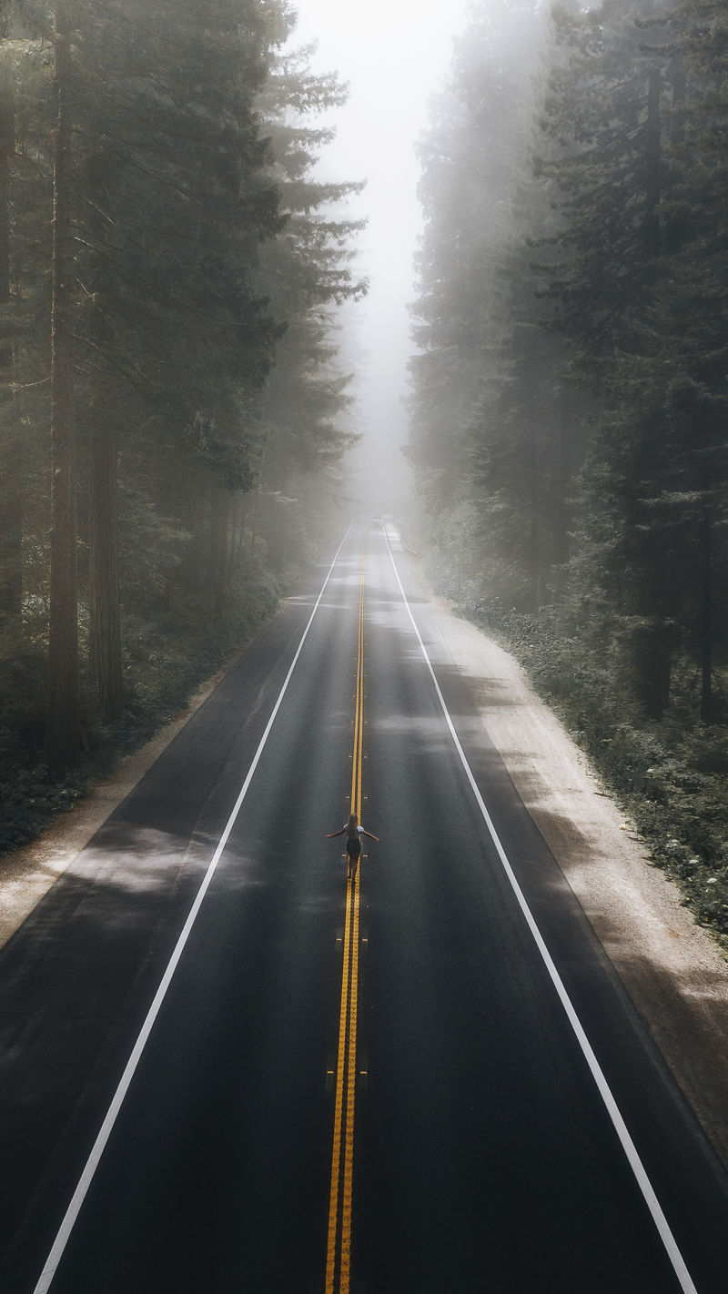 矢量素材:穿过加州森林的风景优美的高速公路图片,instagram故事,背景