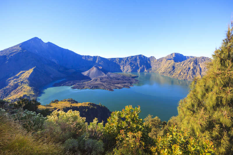 山地林加尼山景观