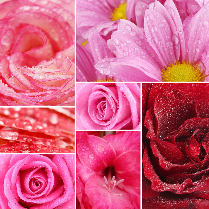 美丽的水滴花拼贴画