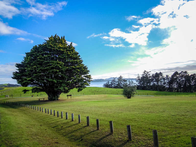 美丽的田园风光
