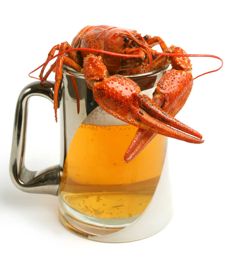 在盛满啤酒的杯子上的小龙虾