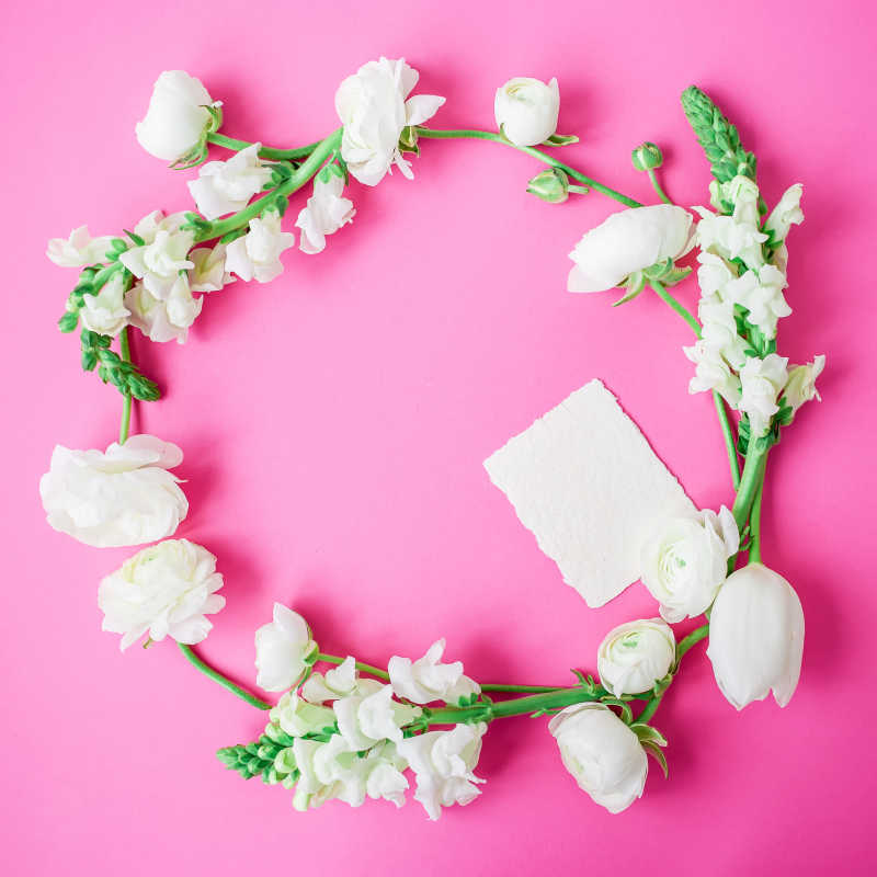 白色花朵的花朵框架和粉红色背景的小纸卡片