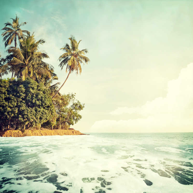 海上美丽的椰树岛