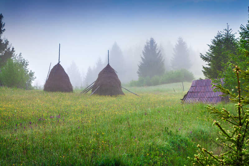 山谷中多雾的早晨景色