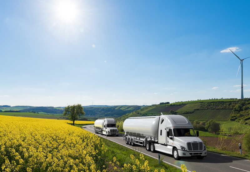 在农村公路上行驶的汽车