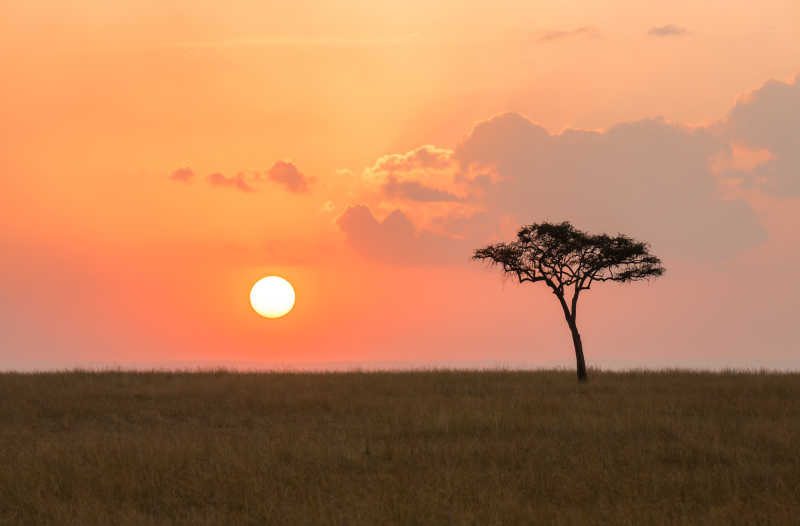 巴林堡美丽的日落