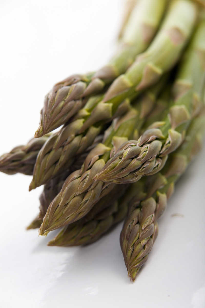 白色背景上的芦笋