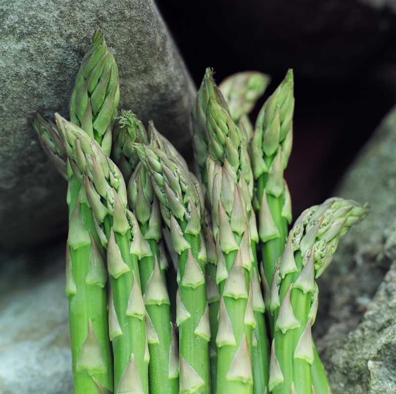 放在石头上的芦笋