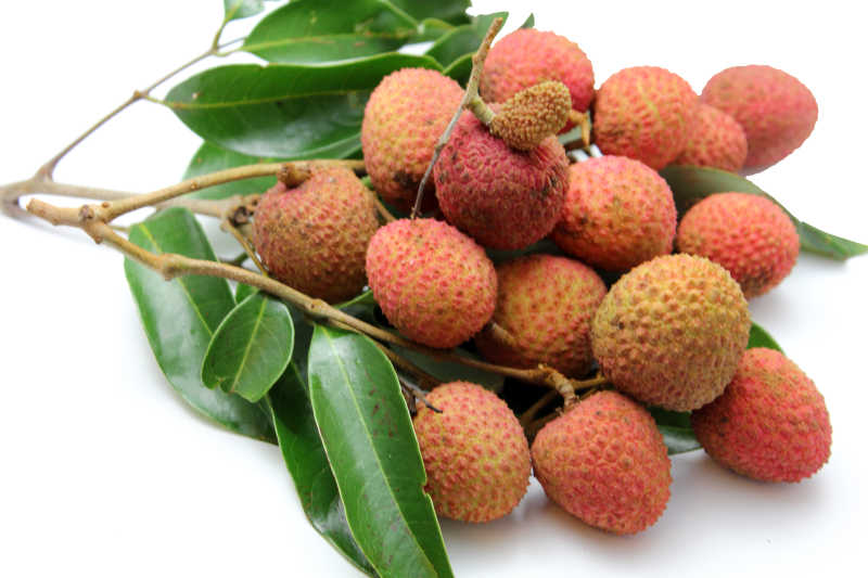 一串新鲜的荔枝