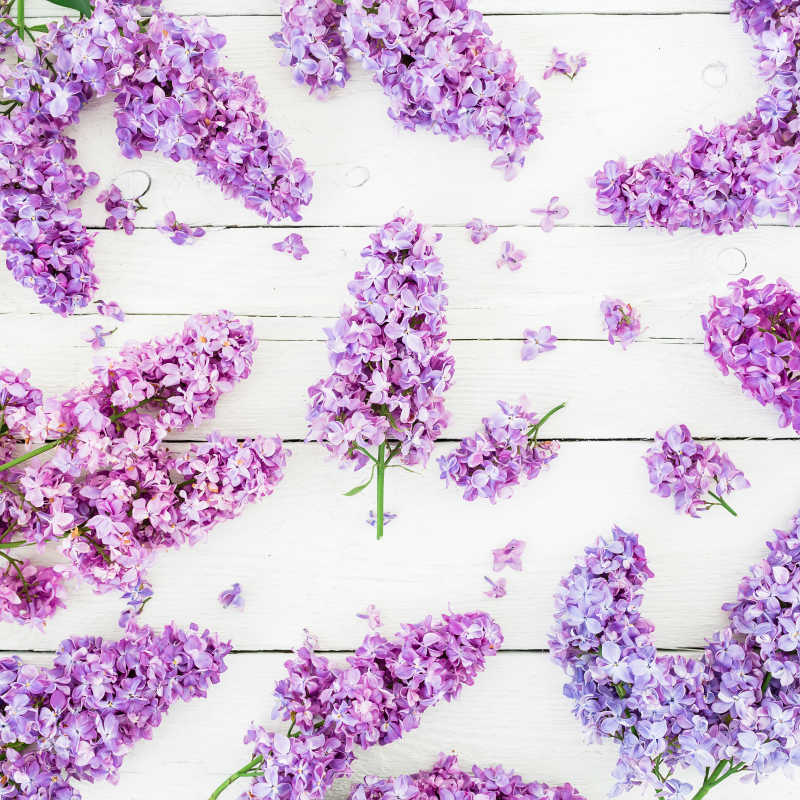 紫色的丁香散落在木板上