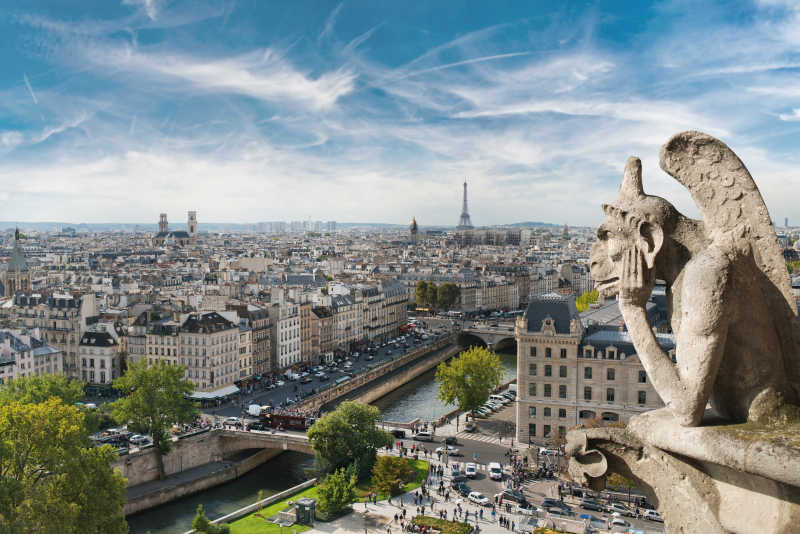 从巴黎圣母院的屋顶看石像鬼和市区
