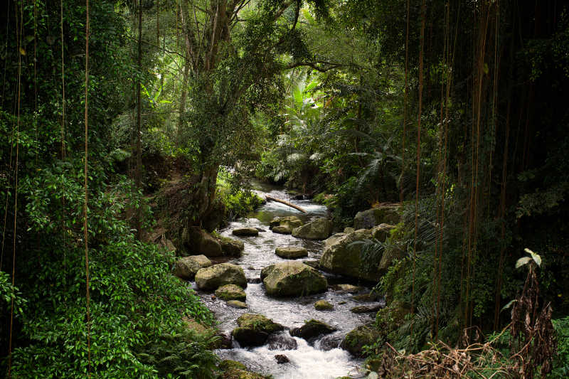 在卡威山寺巴厘河