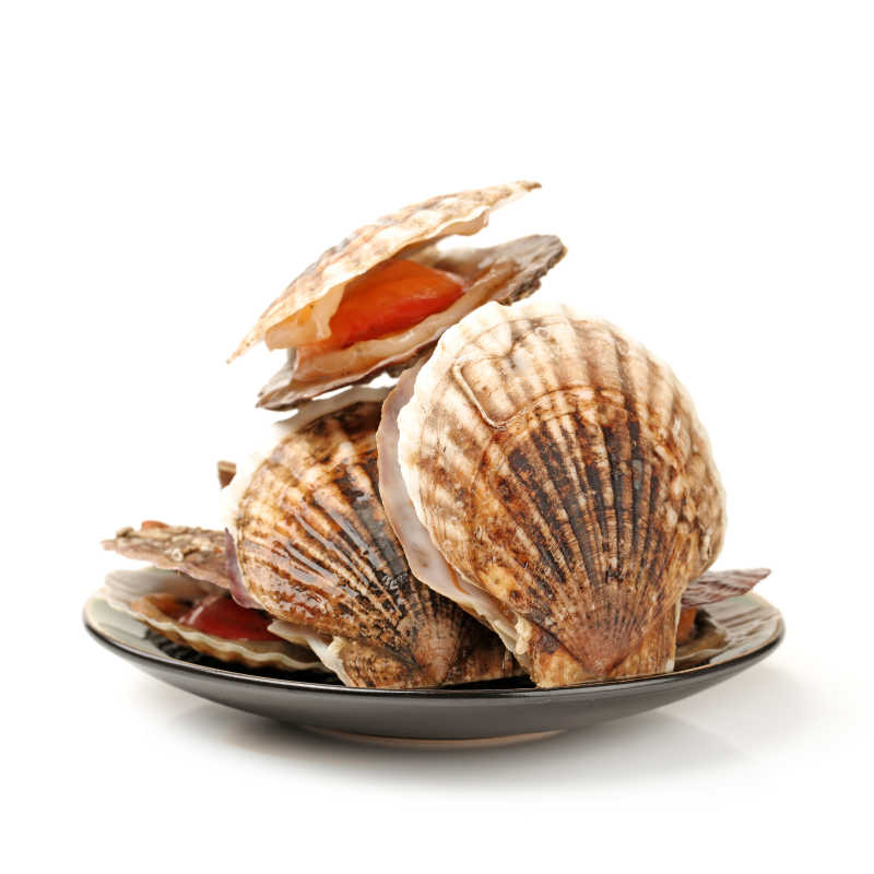 白色背景黑色盘子里的生扇贝