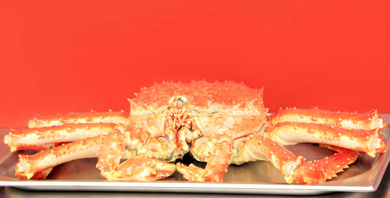 红底帝王蟹