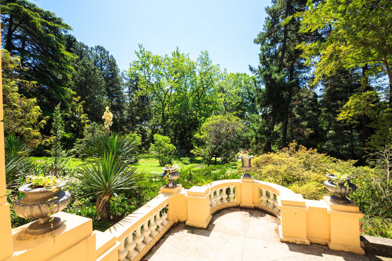 索契俄罗斯的植物园