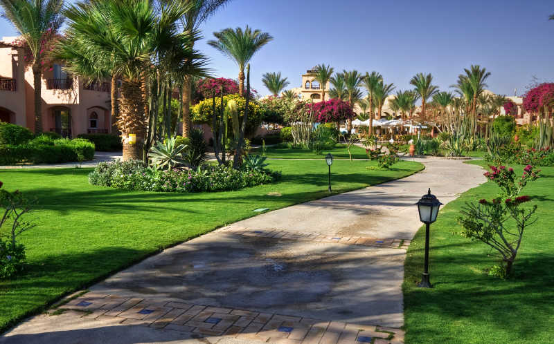 热带度假村小路两边的草地和棕榈树