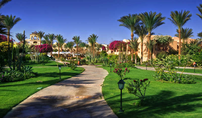 热带度假村小径特写