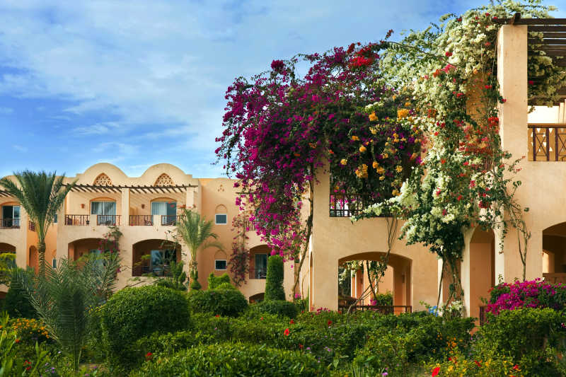 热带度假村风景一角