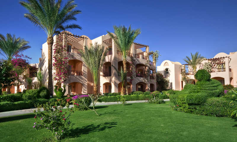 带有绿色草地棕榈树的热带度假村