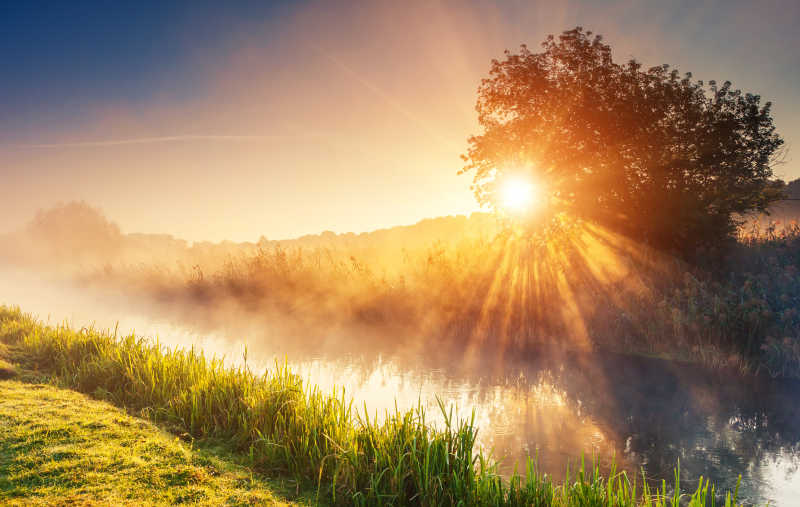 阳光穿过树木照射在梦幻般的雾河与新鲜的绿草上