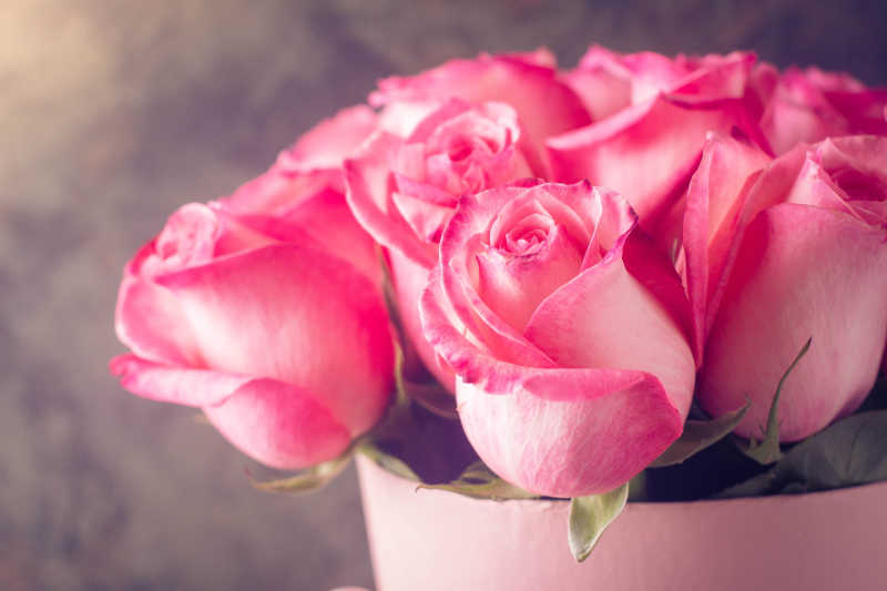 情人节或母亲节皆可用的粉红玫瑰