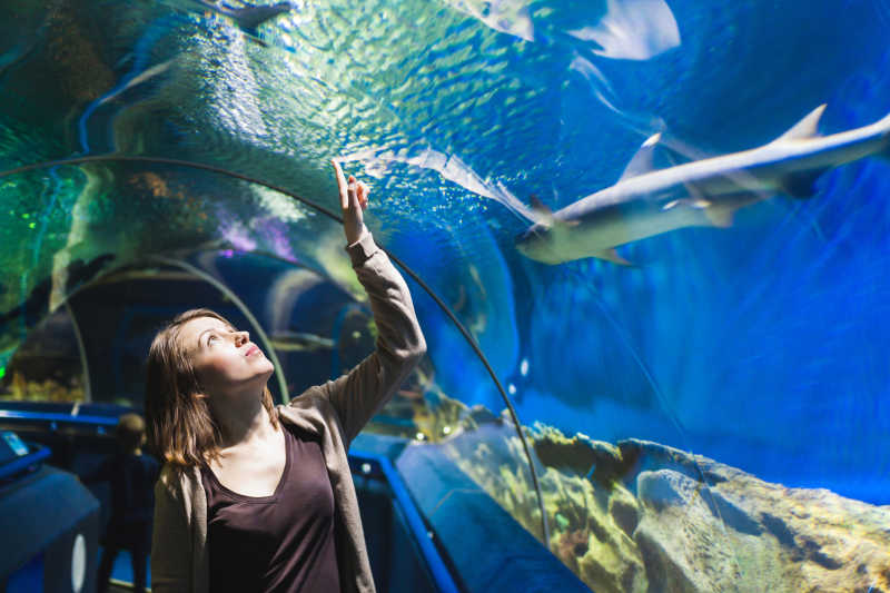 水族馆隧道与看鲨鱼的年轻女孩