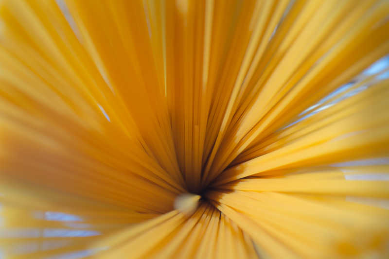 意大利面条特写