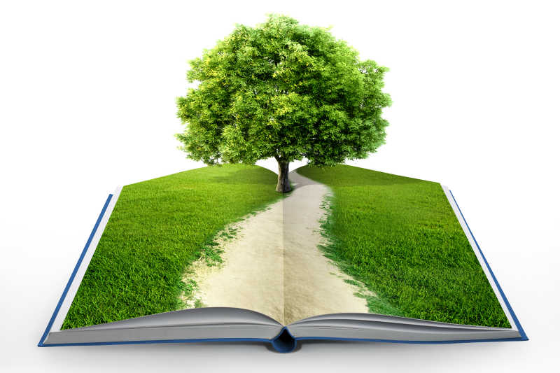 书本上的绿色草地和树木概念