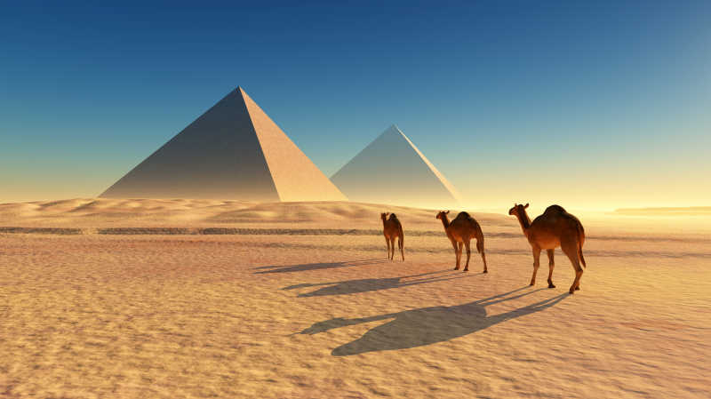 金字塔沙漠骆驼