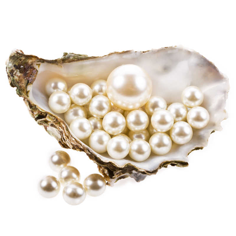 白色的背景下牡蛎壳中的大珍珠在和小珍珠