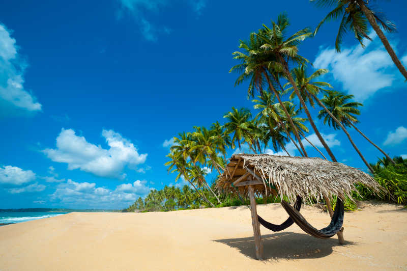 蓝天白云下的斯里兰卡热带海滩