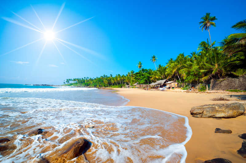 阳光下斯里兰卡未经触摸的热带海滩
