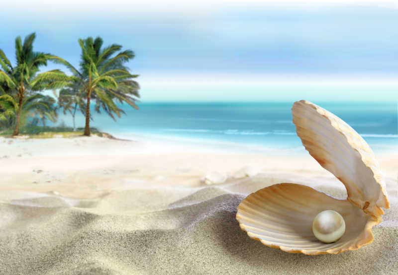 海滩上贝壳里的珍珠