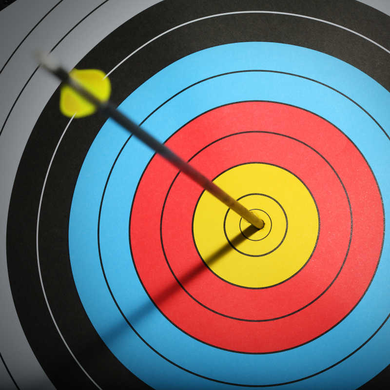 箭射中目标箭靶环