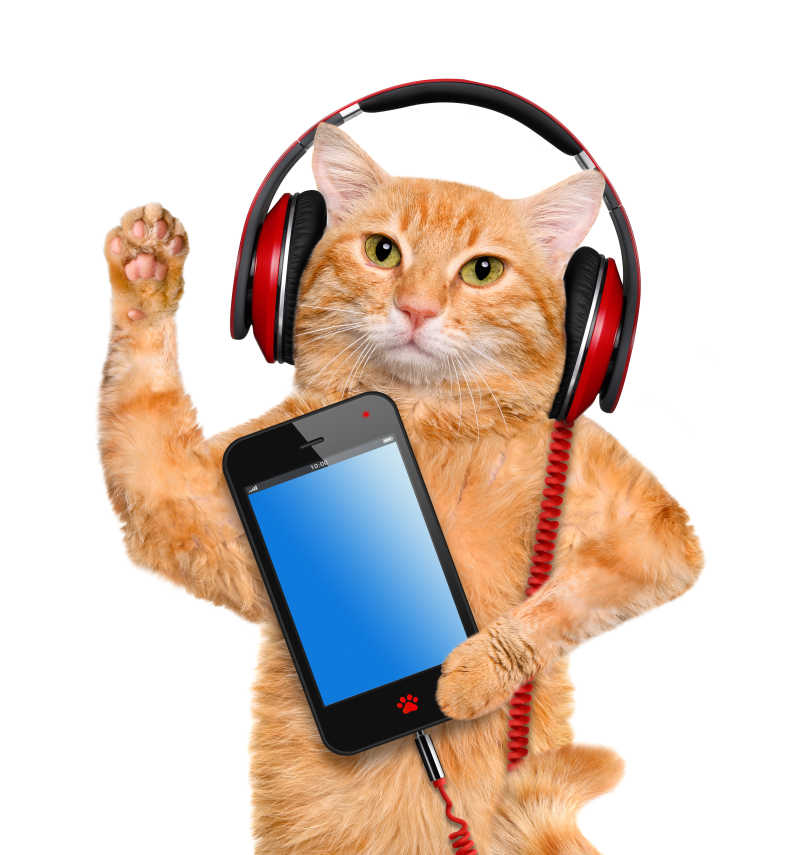 带着耳机的招财猫