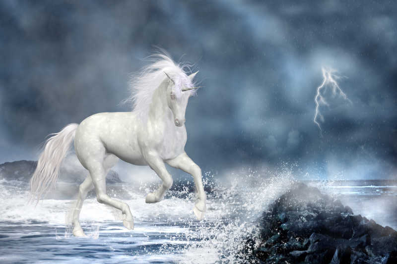 涉水的白色独角兽