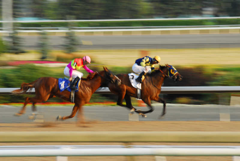 赛马场上的竞争