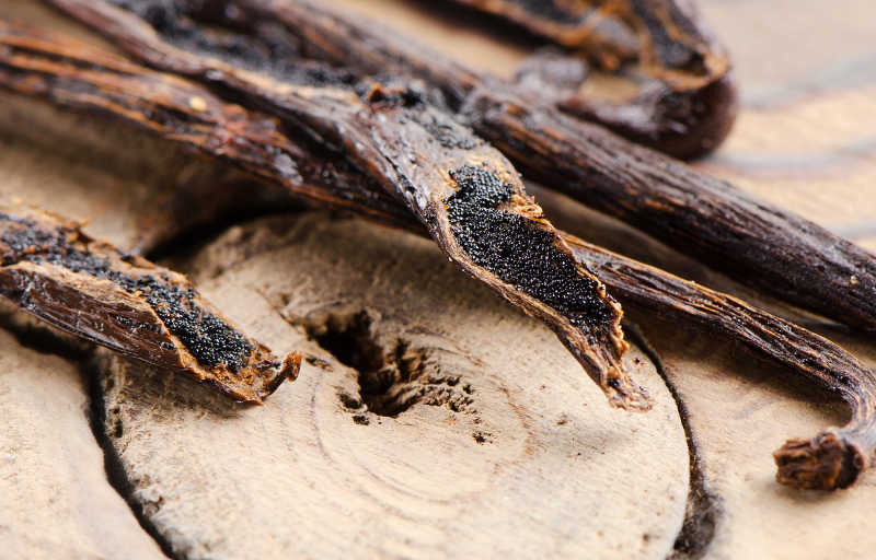 香草豆香料特写