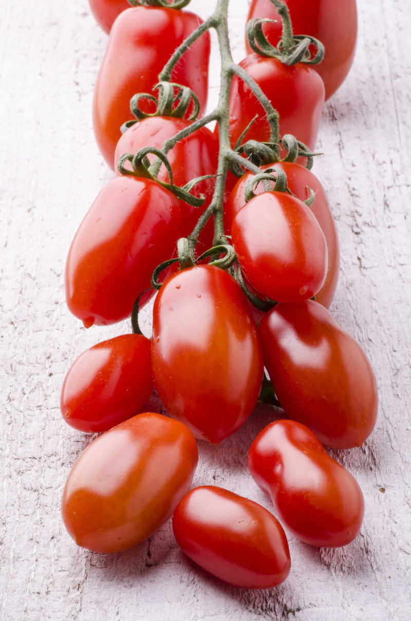 一串小番茄特写