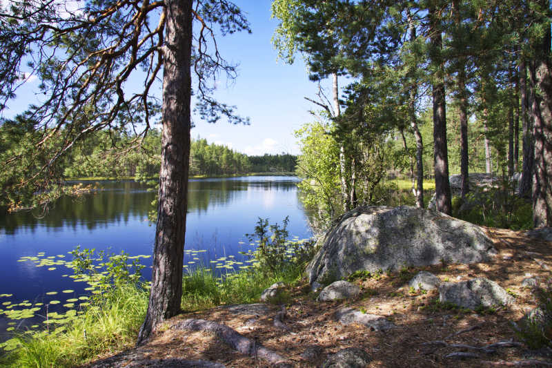 芬兰湖边的夏日