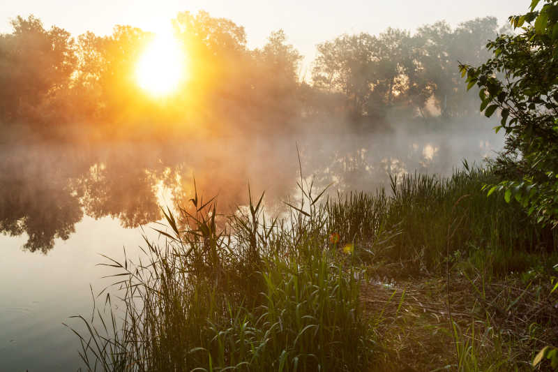 美丽的河雾日出