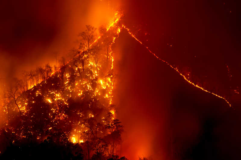 熊熊烈火在燃烧