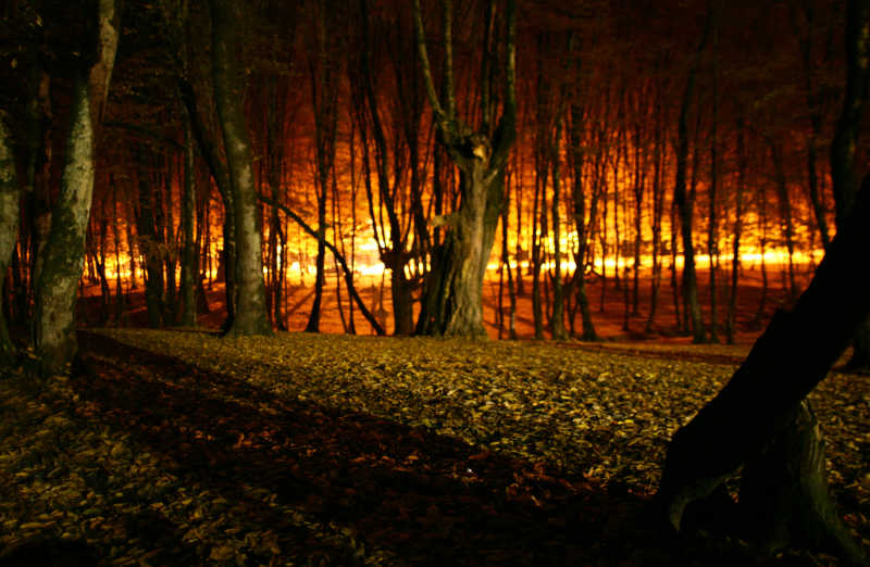 森林火灾即将熄灭