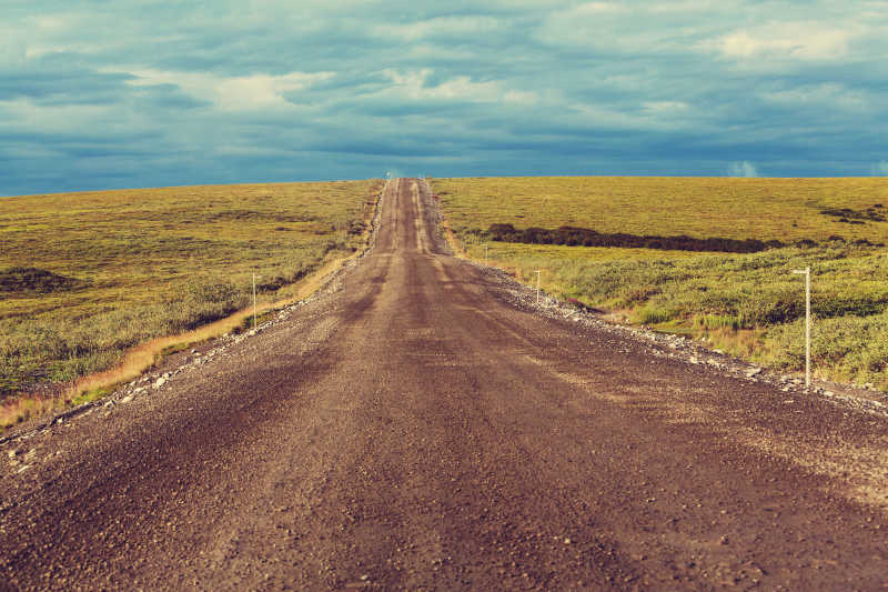 一望无际的苔原景观